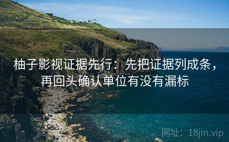 柚子影视证据先行：先把证据列成条，再回头确认单位有没有漏标